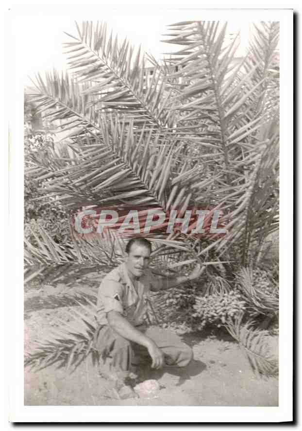 Photo Homme Palmeraie