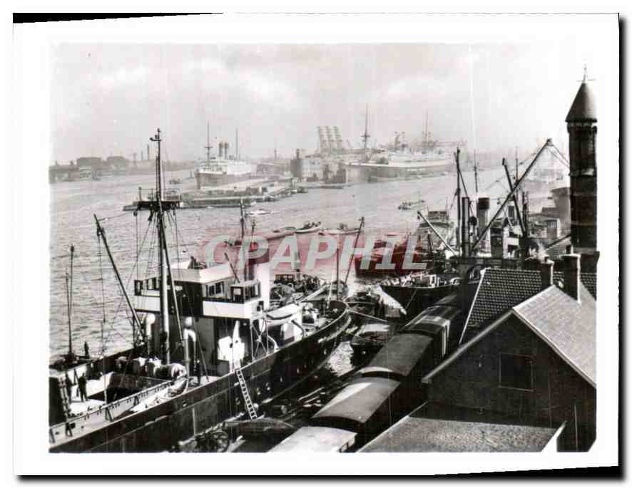 CPM Amsterdam Vue sur le Port 