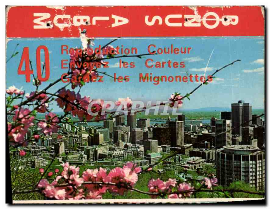 CPM Montreal Quebec Vue du Centre Ville du velbedere du Mont Royal 