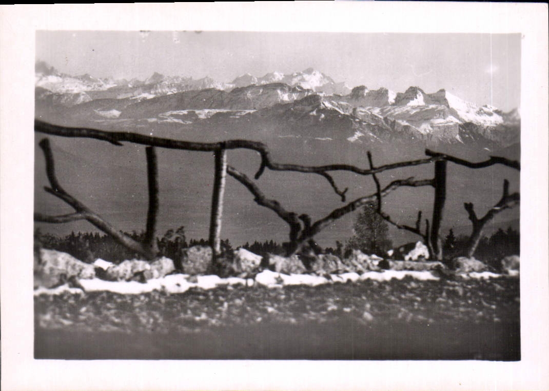 CPM Le Massif du Mont Blanc vu des Treize Arbres 