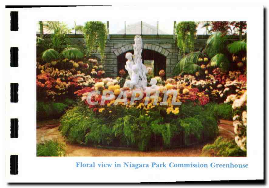 CPM Floral view in Niagara Park Commision Greenhouse 