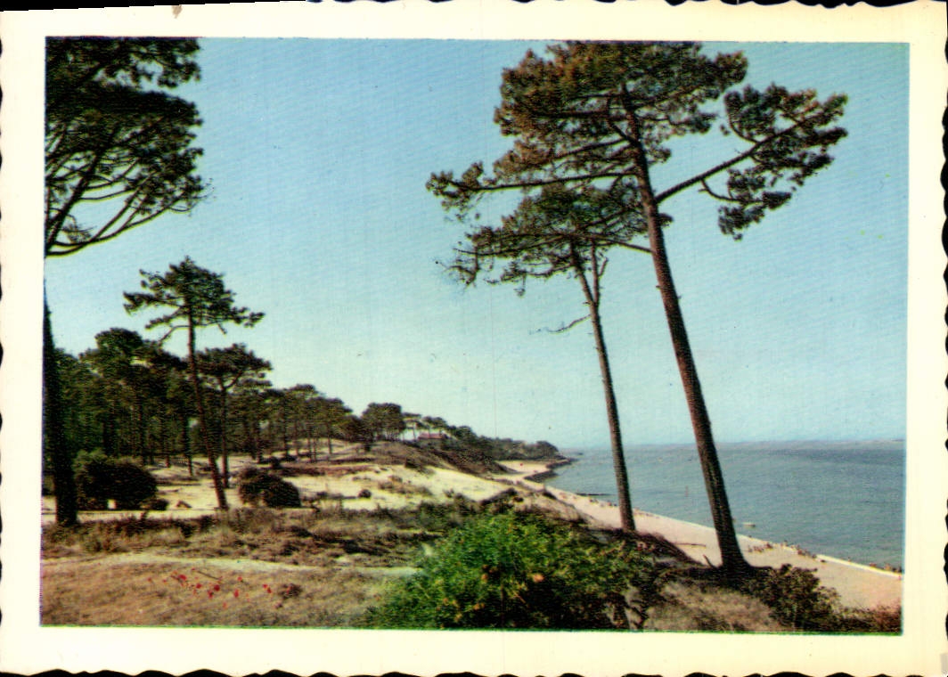 CPM La Plage des Abatilles Au fond la Corniche 