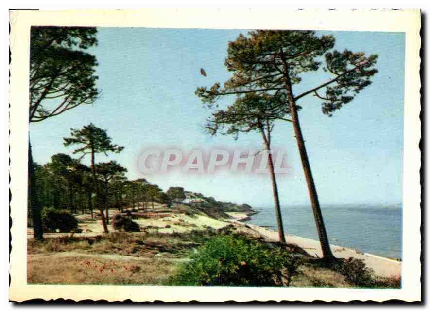 CPM Le Plade des Abatilles au fond la Corniche 