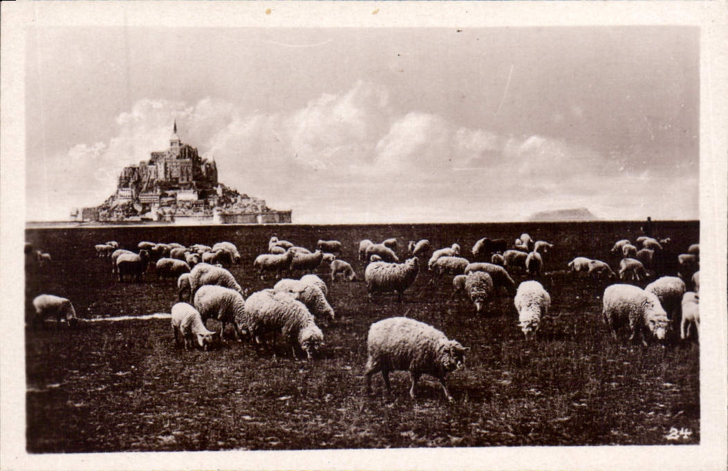 CPM Mont St Michel Greves du Mont St Michel les pres sales 