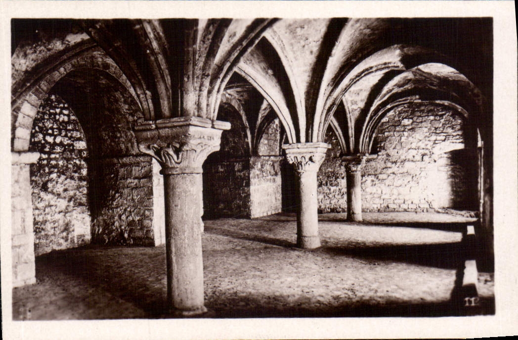 CPM Mont St Michel le Promenoir 