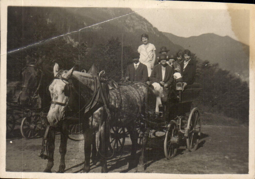 Photo Attelage Cheval