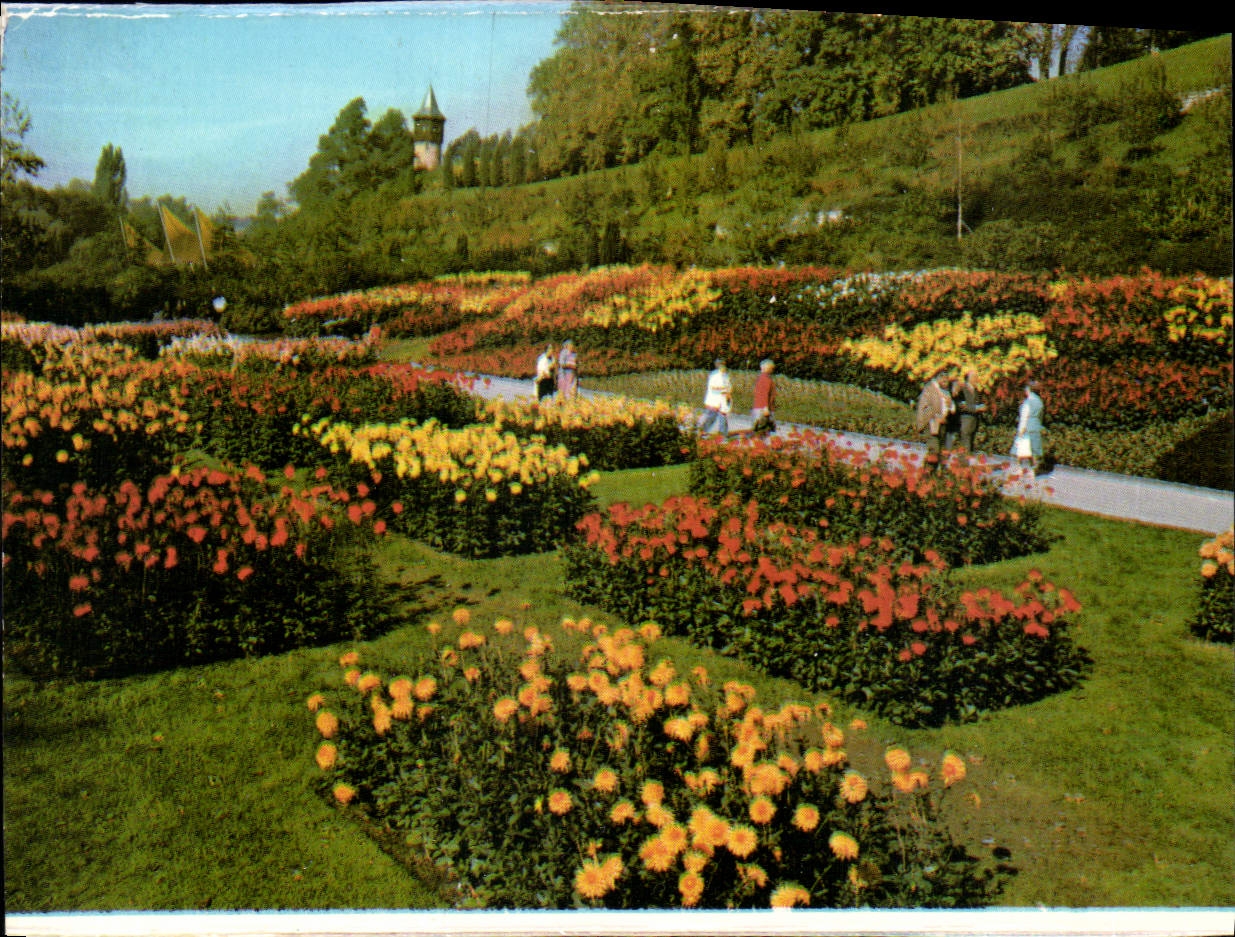 Insel Mainau im Bodensee — Dahlien im Süd Garten — CPAPHIL