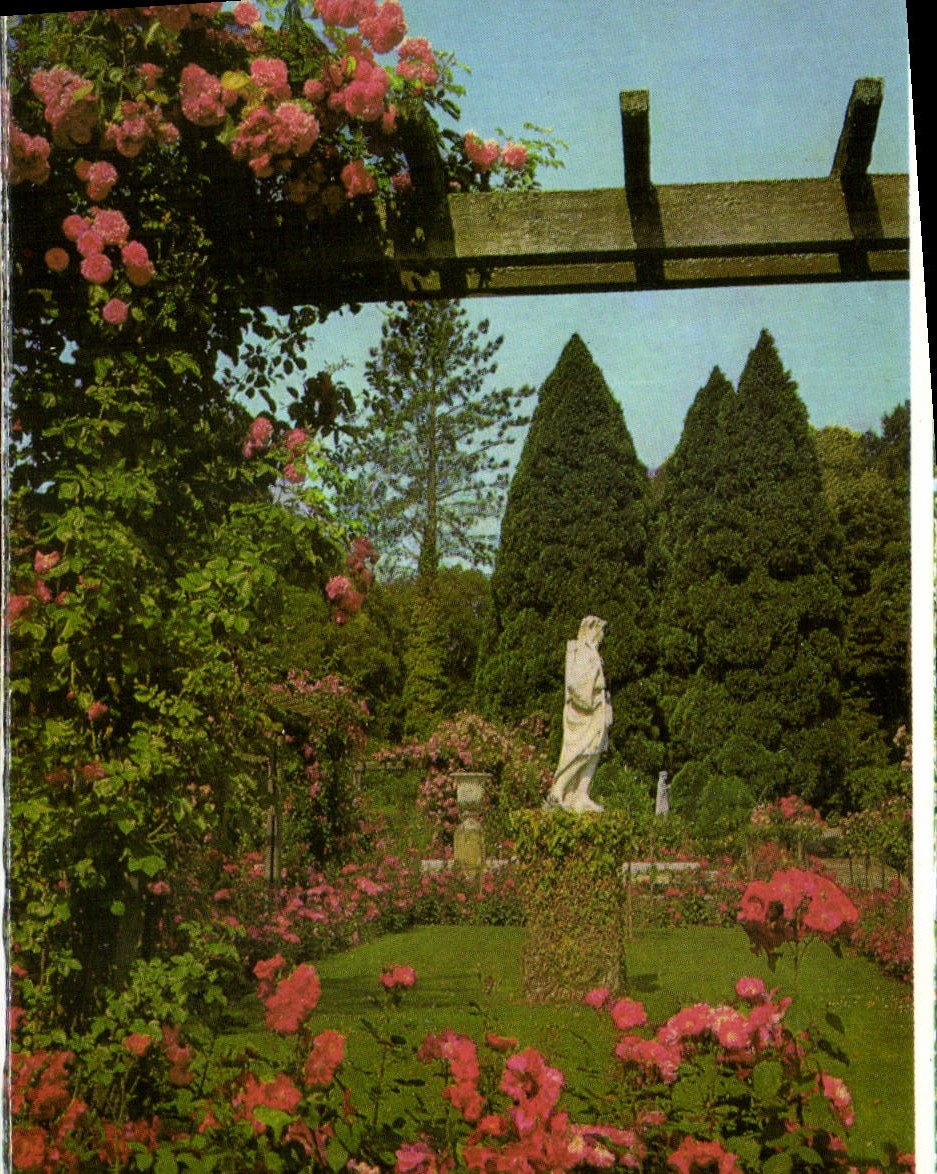 CPA Insel Mainau im Bodensee Rosengarten Idyll mit einer der Vier Jahreszeiten Statuen 