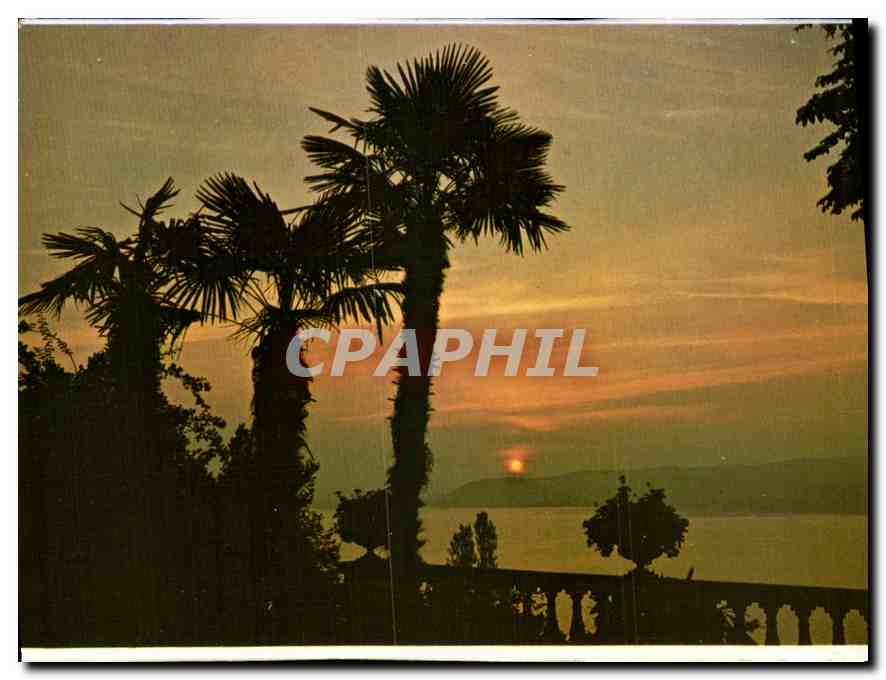 CPA Insel Mainau im Bodensee Sonnenaufgang uber den Mainaugarten 