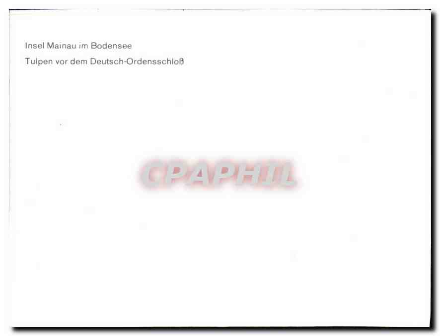CPA Insel Mainau im Bodensee Tulpen vor dem Deutsch Ordensschlob  — Back