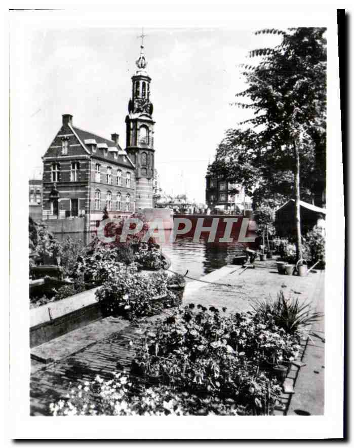 CPM Amsterdam Singel avec la Tour de la Monnaye et le marche aux fleurs 