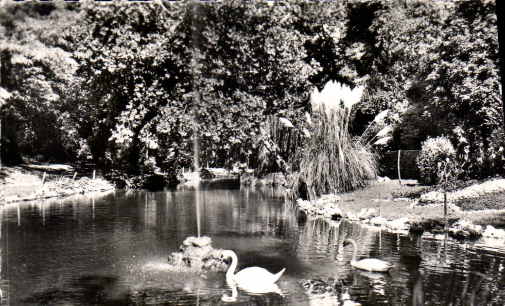 CPM La Rochelle CH Mar le Jardin Public 