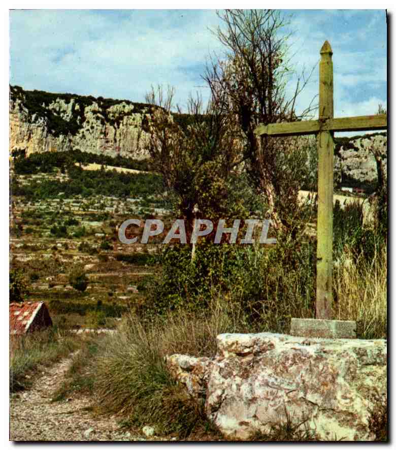 CPM La Falaise Illuminee dans un magnifique decor de rochers de cypres et d'oliviers de cactus et de