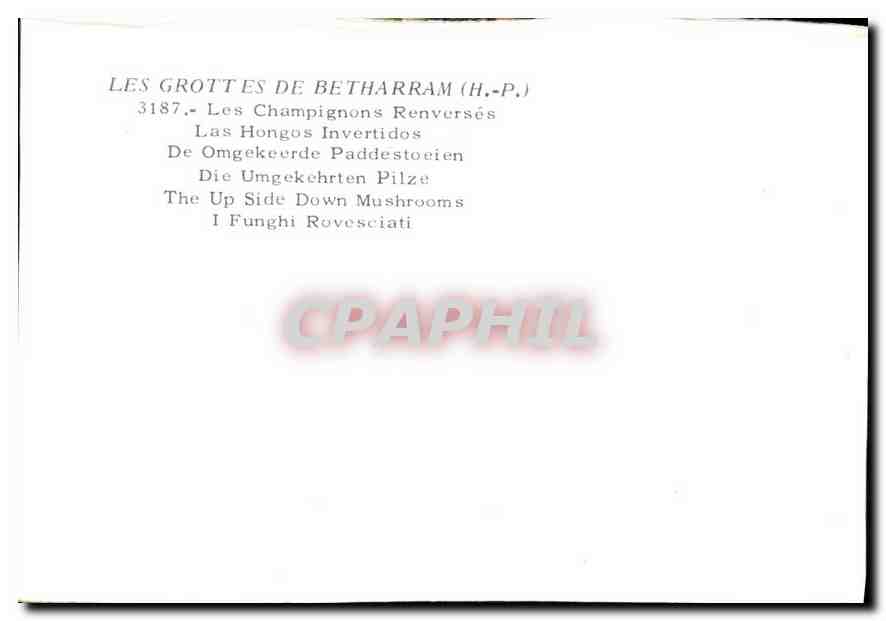 CPM Les Grottes de Betharram H P les Champignons Renverses  — Back