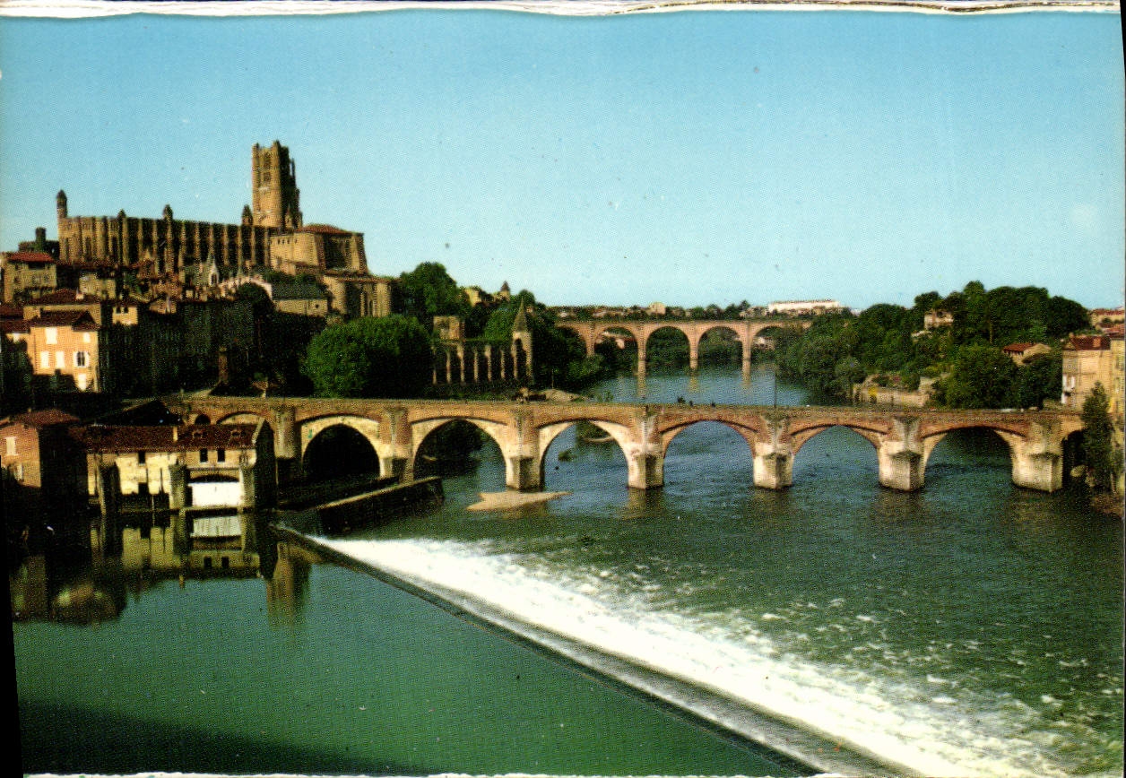 CPM Albi Tarn vue sur le Tarn et la Basilique Ste Cecile XIII S et le Pont Vieux Xi S 