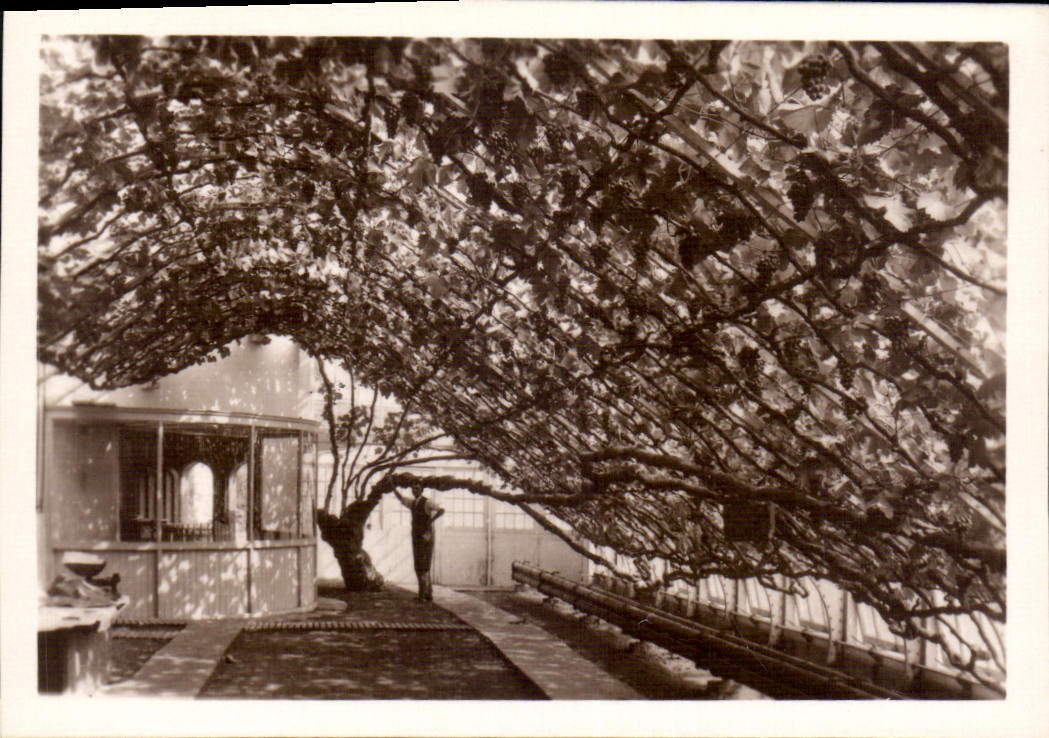 CPM Hampton Court Palace