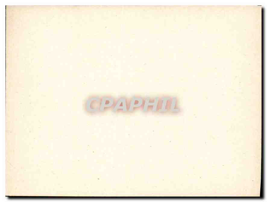 CPM Liege — Back