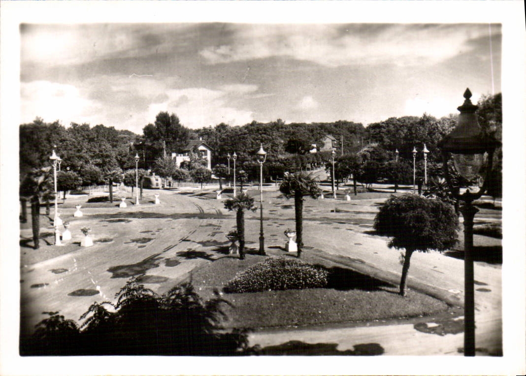CPM La Baule La Place des Palmiers 