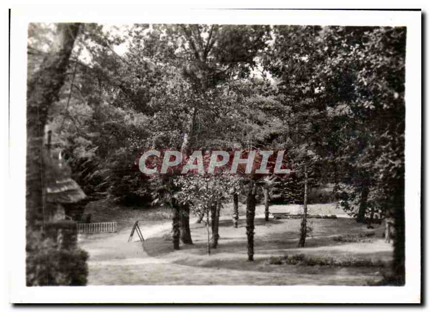CPM La Baule Le Parc des Dryades 