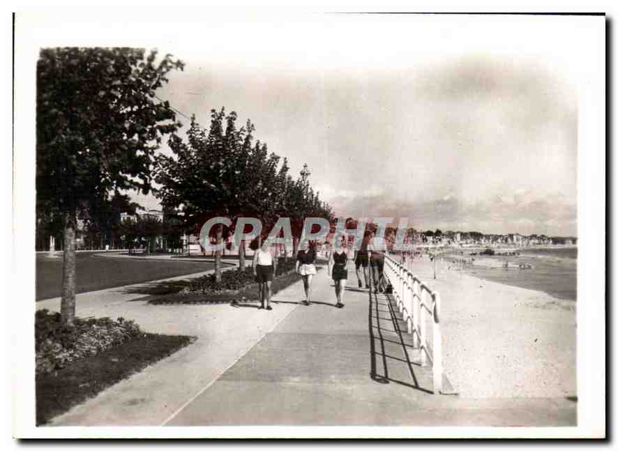 CPM La Baule La Promenade et la Plage 