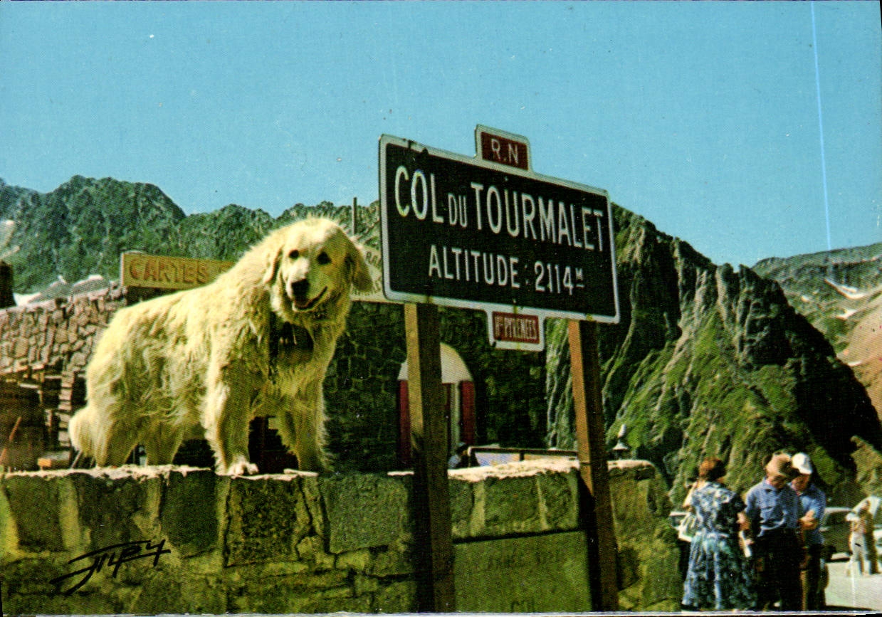 Chien au Col du Tourmalet — Pyrénées — Éditeur : J. Théry, n° de série K.219