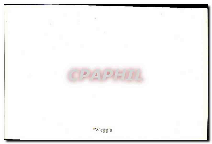 CPM Weggis  — Back