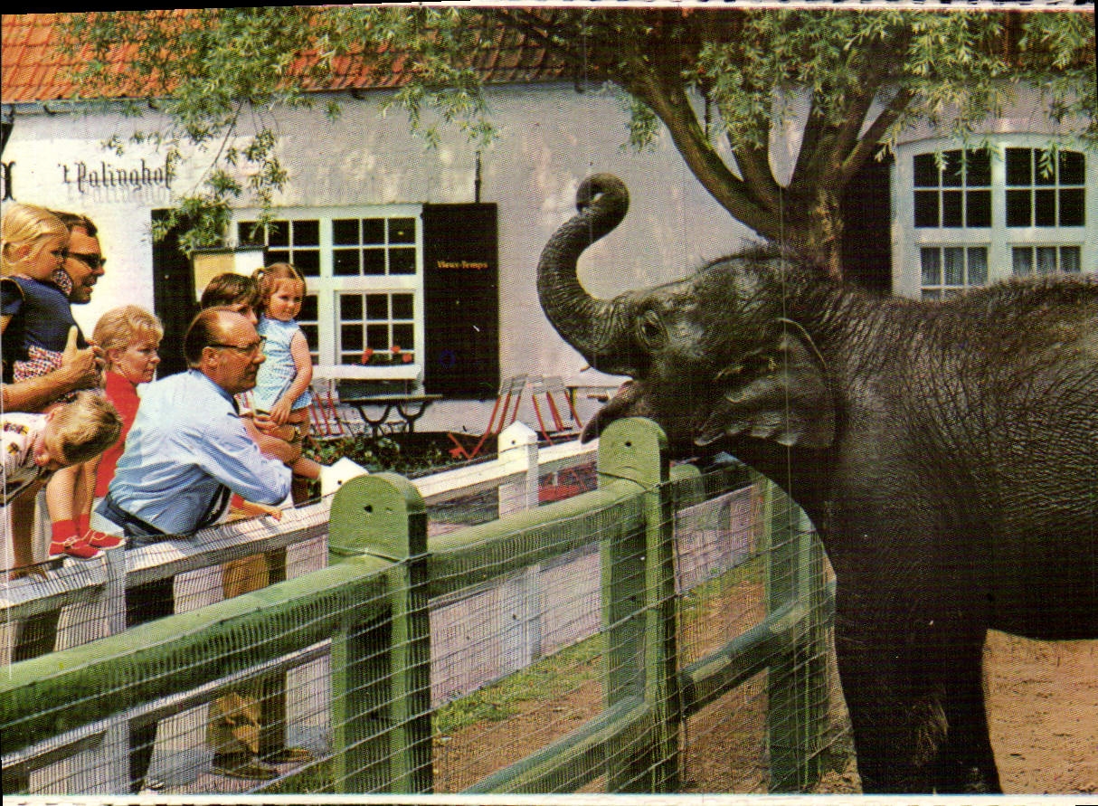 CPM Meli Park Adinkerke de Panne Belgium Elephant 