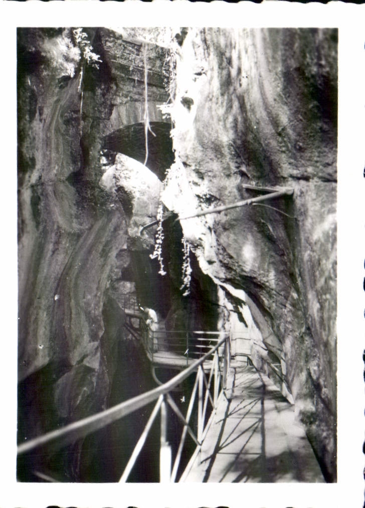 Les Gorges du Fier — CPAPHIL n°414 - Recto