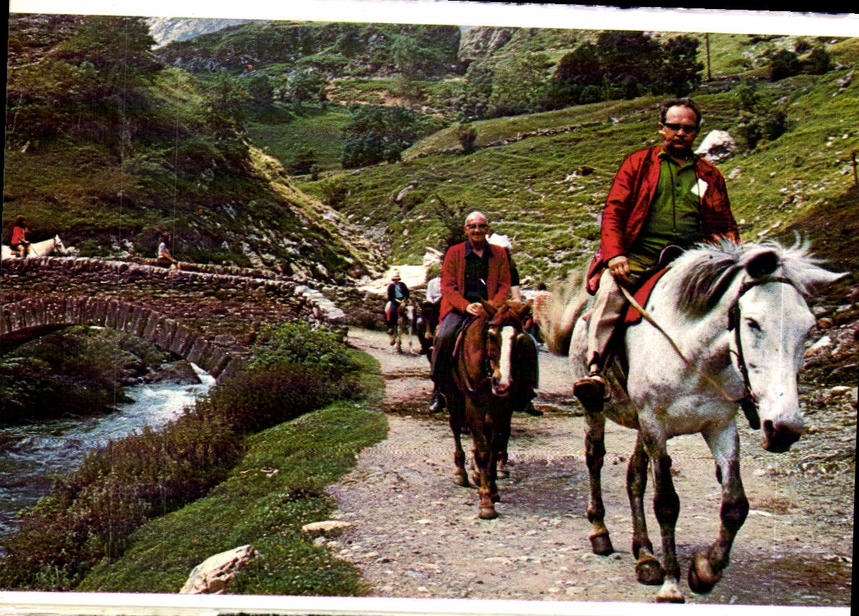 CPM Hautes Pyrenees gavarnie Sur la route du Cirque 