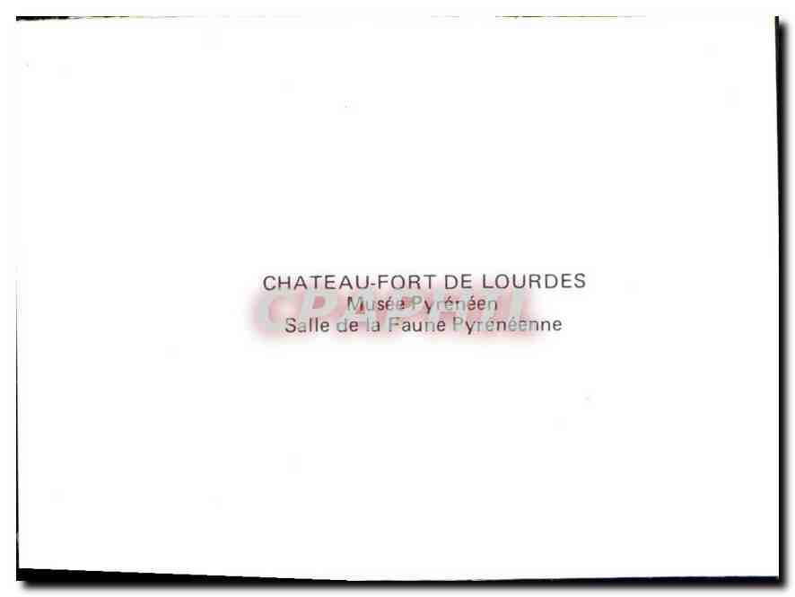 CPM Chateau Fort de Lourdes Musee Pyreneen Salle de la Faune Pyreneenne  — Verso