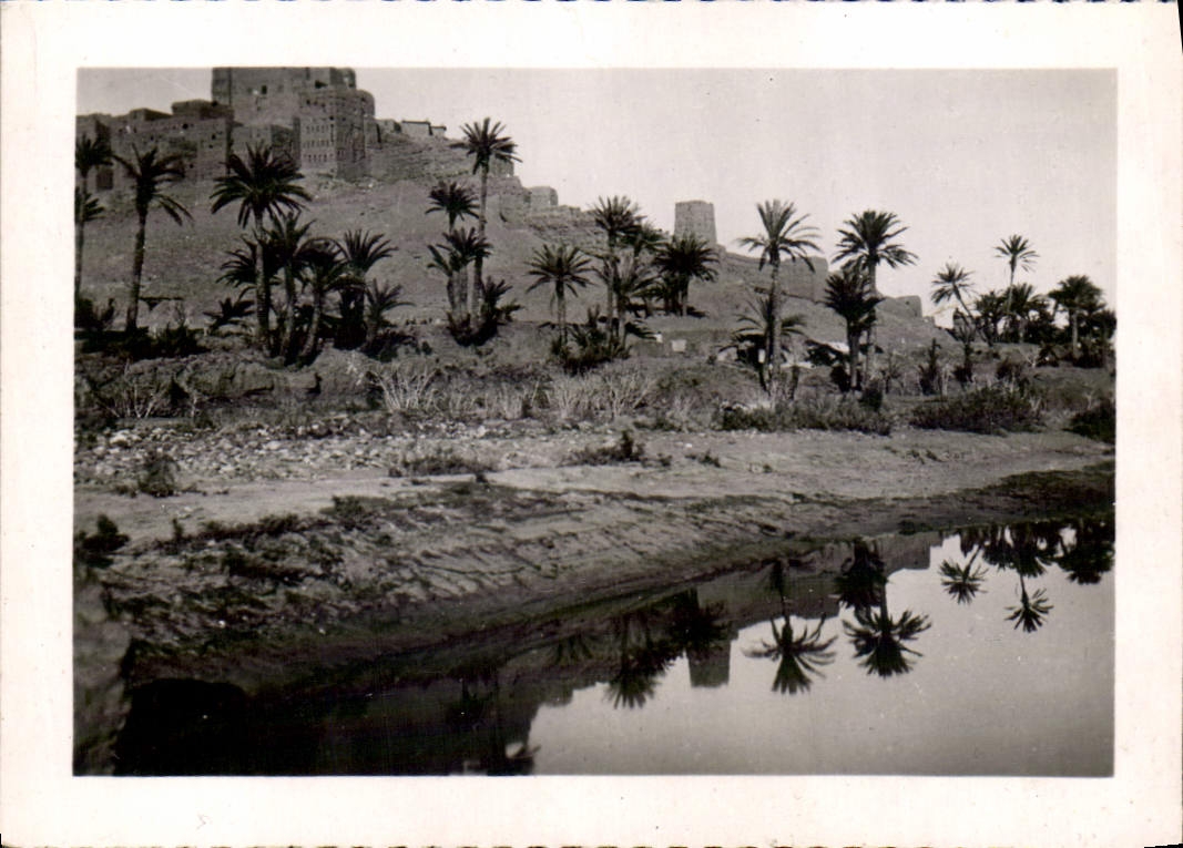 CPM Kasbah sur les rives de l'Oued Dades 