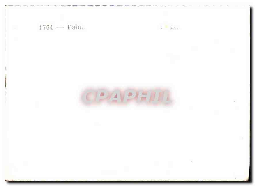 CPM Pain  — Rückseite