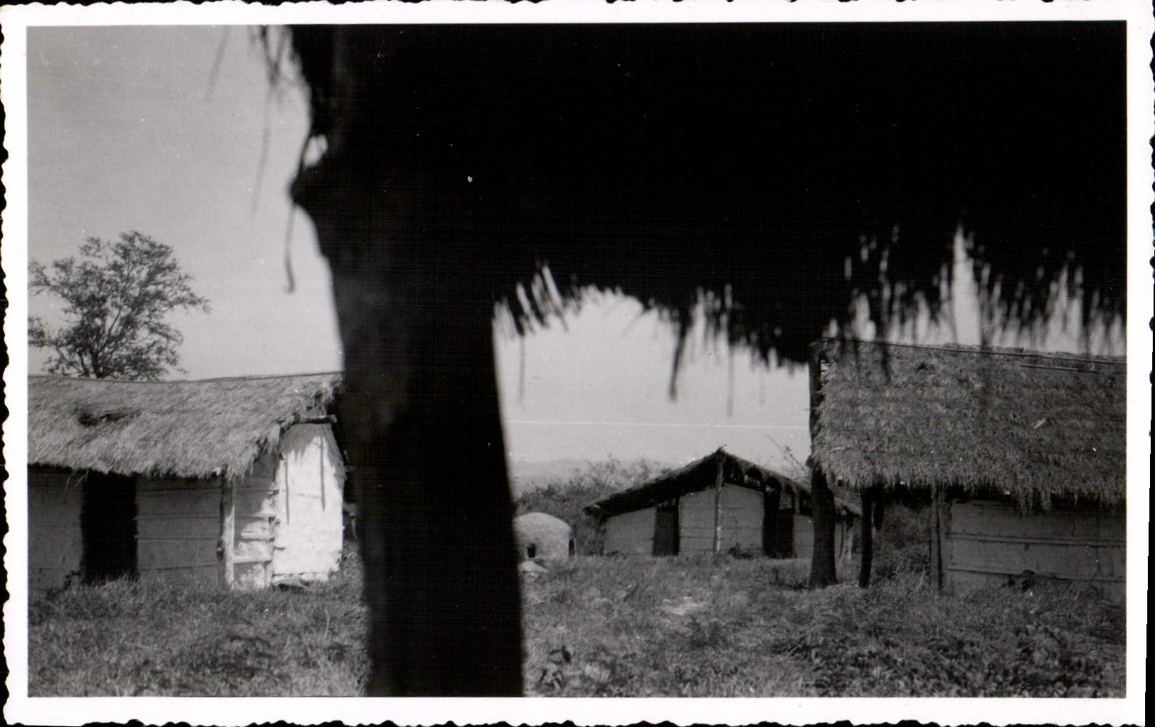 Photo Argentine Argentina