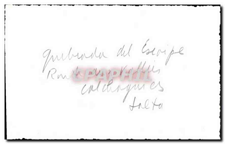 Photo Argentine Argentina — Verso