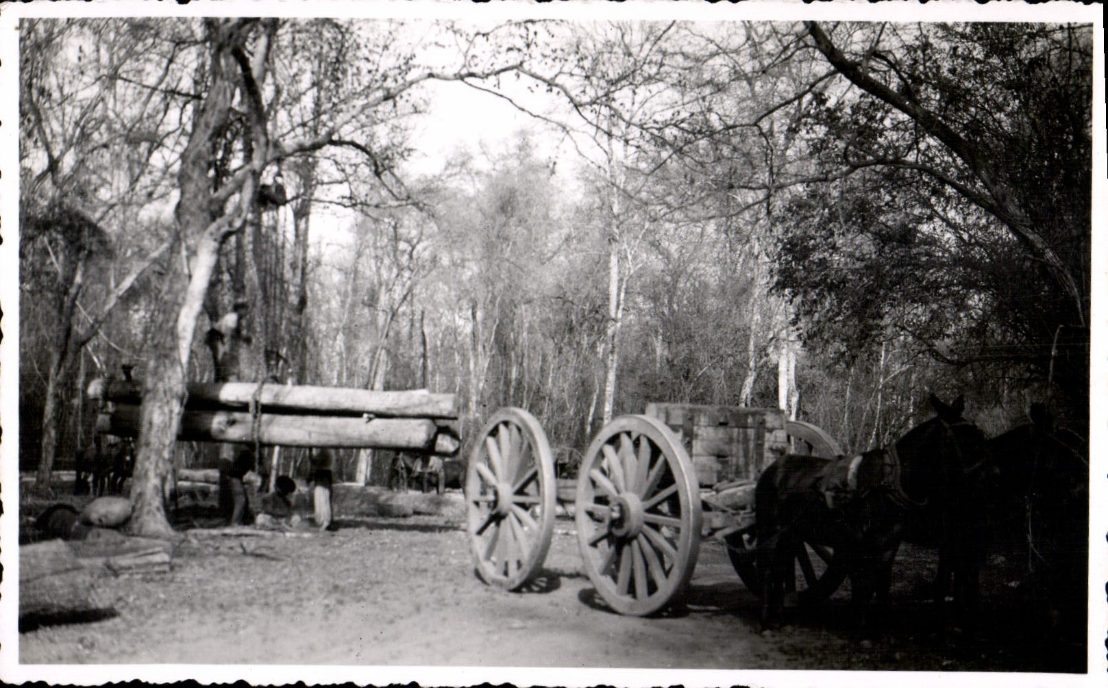 Photo Argentine Argentina