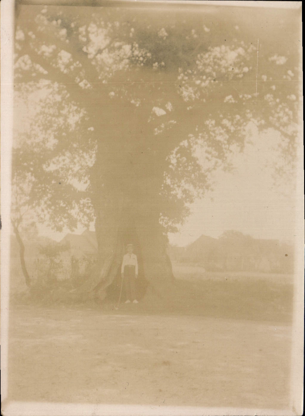 Photo Personnage Arbre