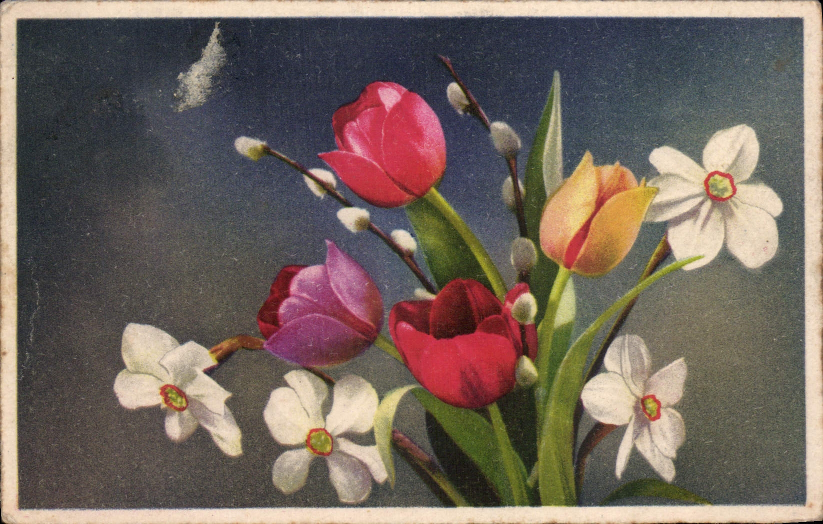 CPA Fleurs