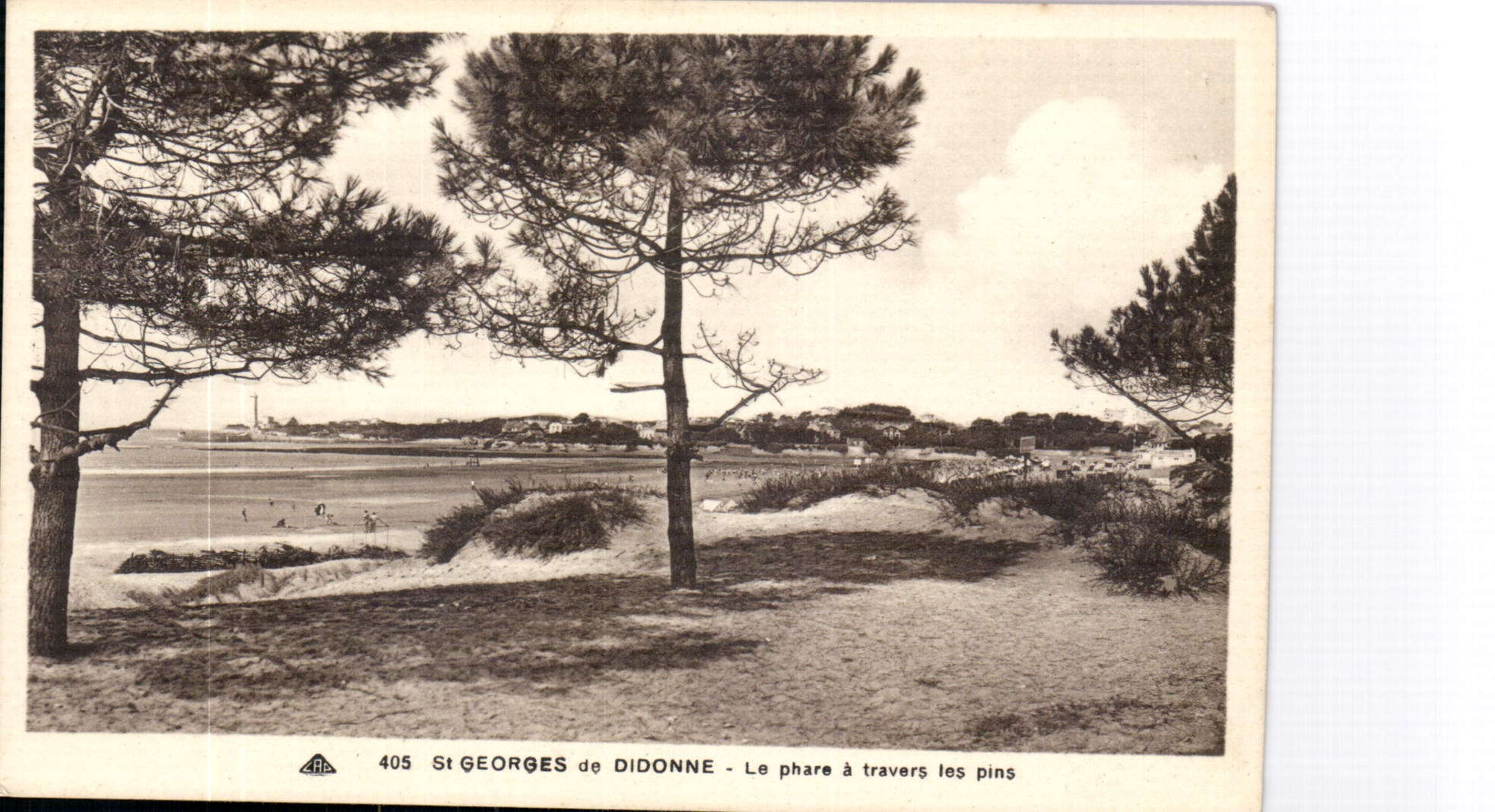 CPA St Georges de Didonne le phare a travers les pins 