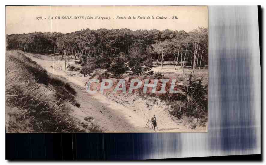CPA La Grance Cote Cote d'Argent Entree de la Foret de la Coubre 