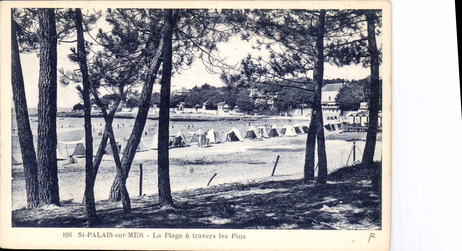 CPA St Palais sur Mer la Plage a travers les pins 