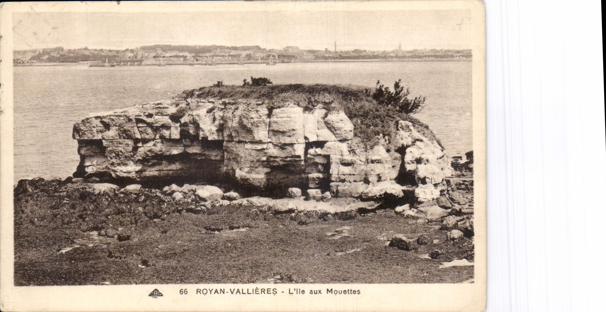 CPA Royan Vallieres l'ile aux mouettes 
