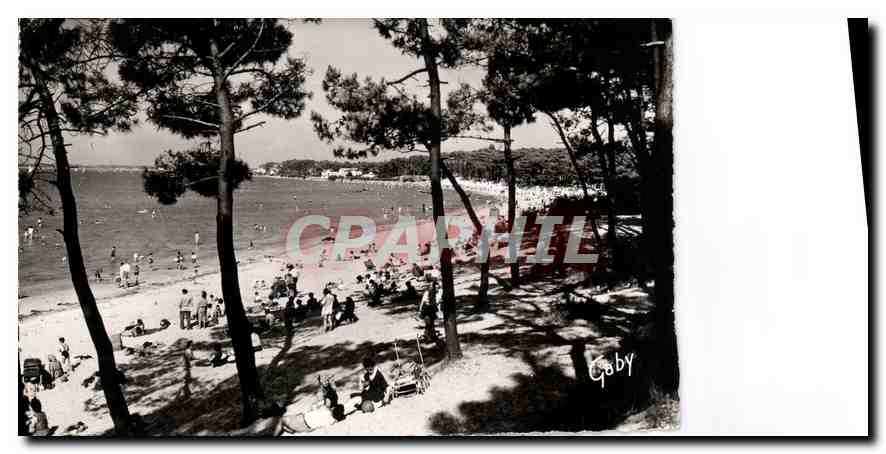 CPA Ronce les Bains Ch Mme la foret et la plage 