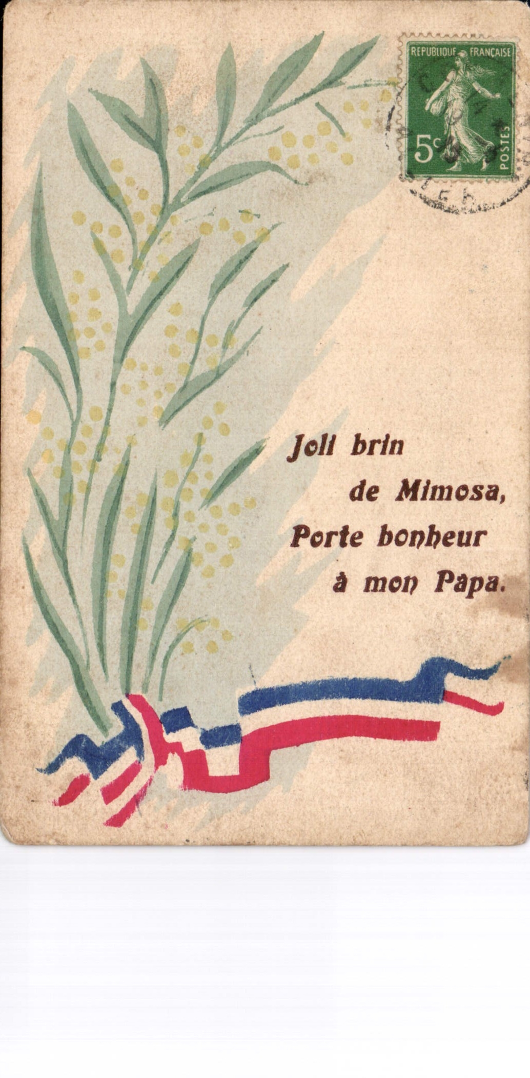CPA Joli brin de Mimosa porte bonheur a mon papa 