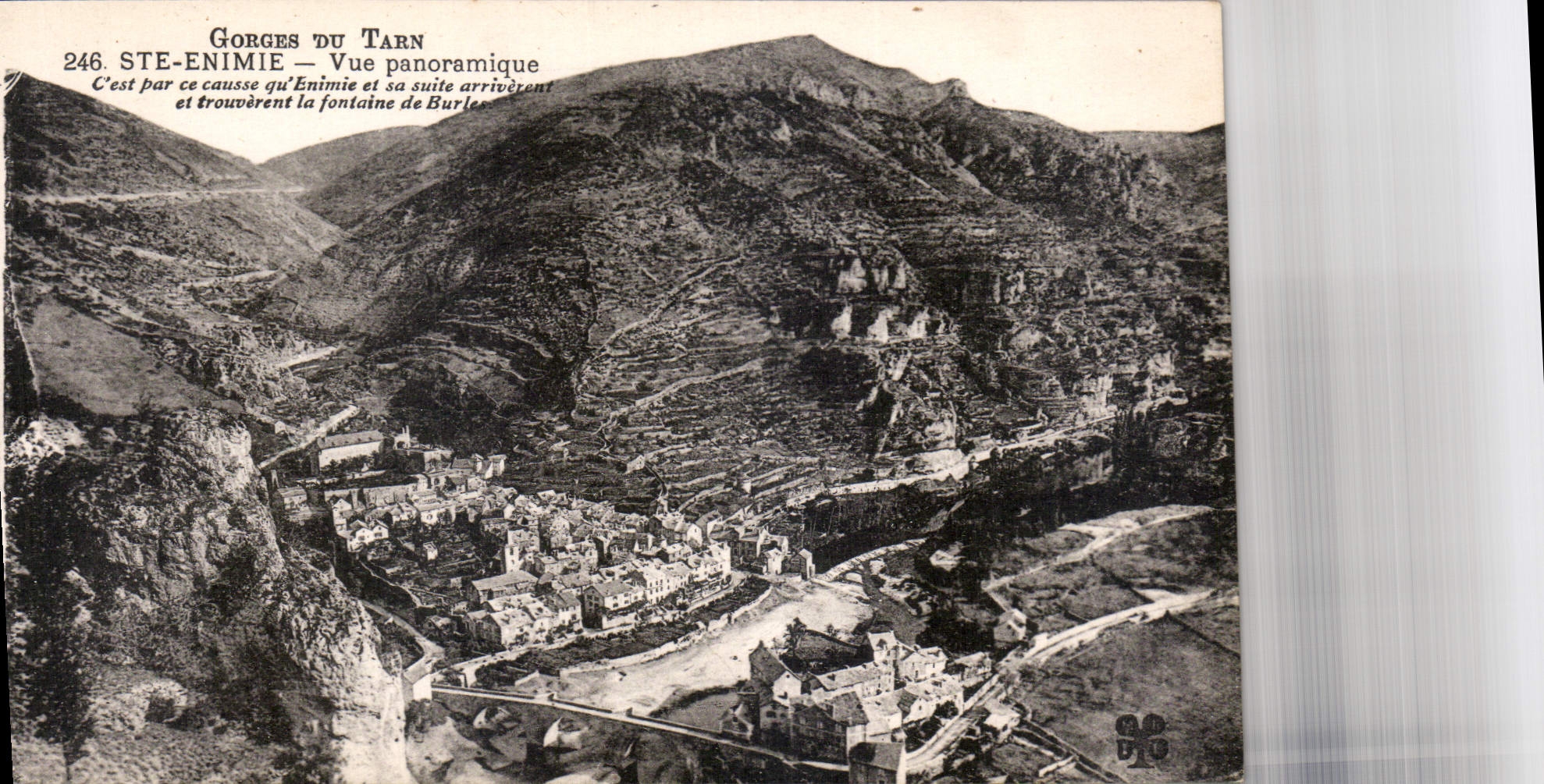 CPA Gorges du Tarn Ste Enimie vue panoramique 