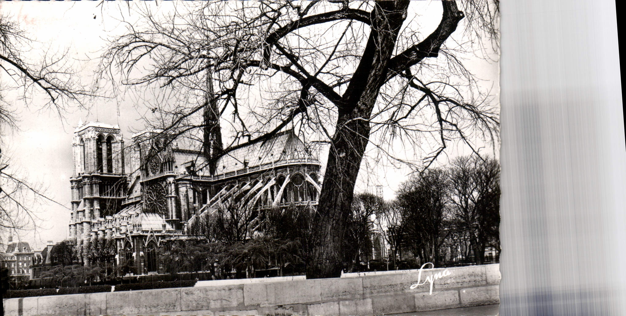 CPA Paris Notre Dame de Paris depuis les Quais 