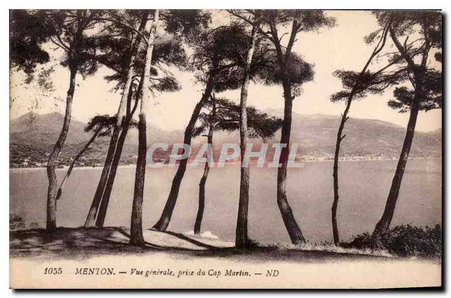 CPA Menton vue generale prise du Cap Martin 
