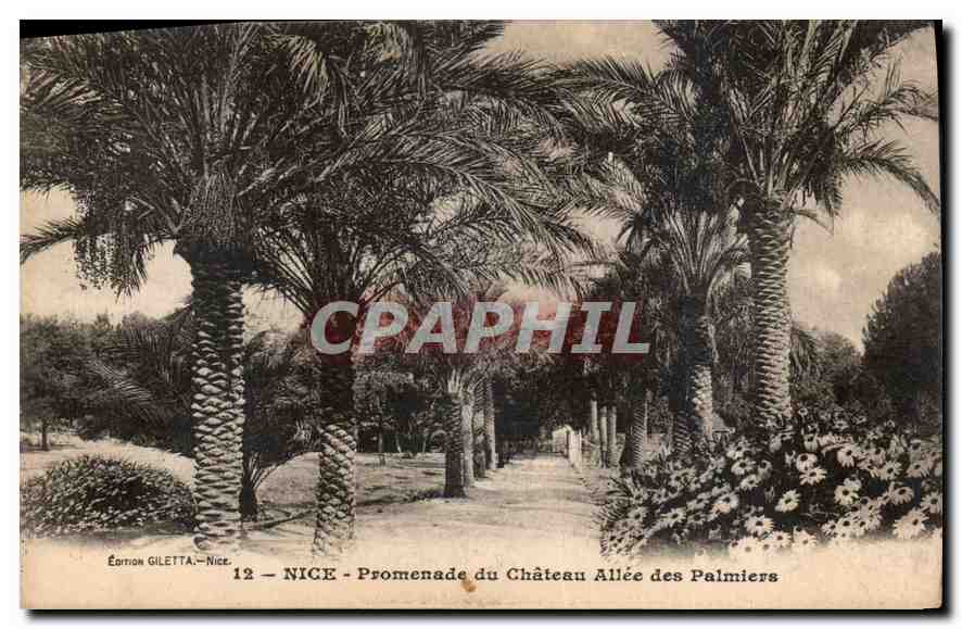 CPA Nice Promenade su Chateau Allee des Palmiers 