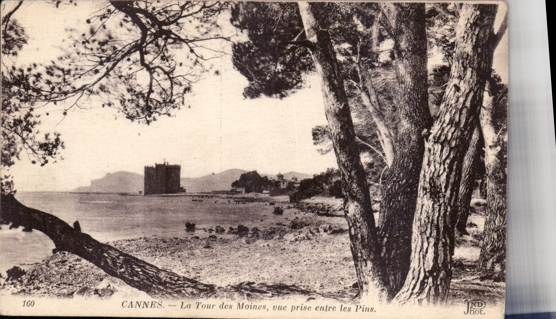 CPA Cannes La Tour des Moines vue prise entre les Pins 