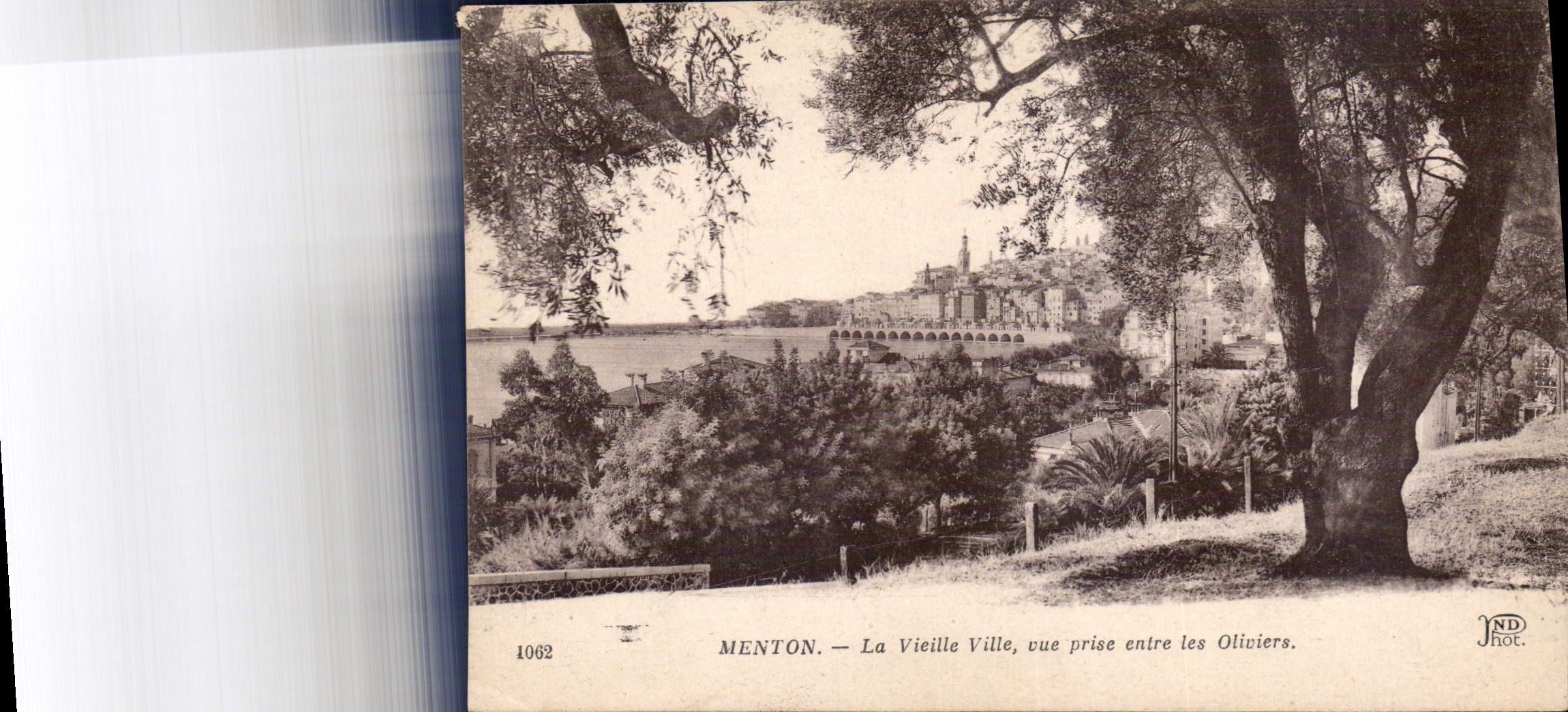 CPA Menton La Vieille Ville vue prise entre les Oliviers 