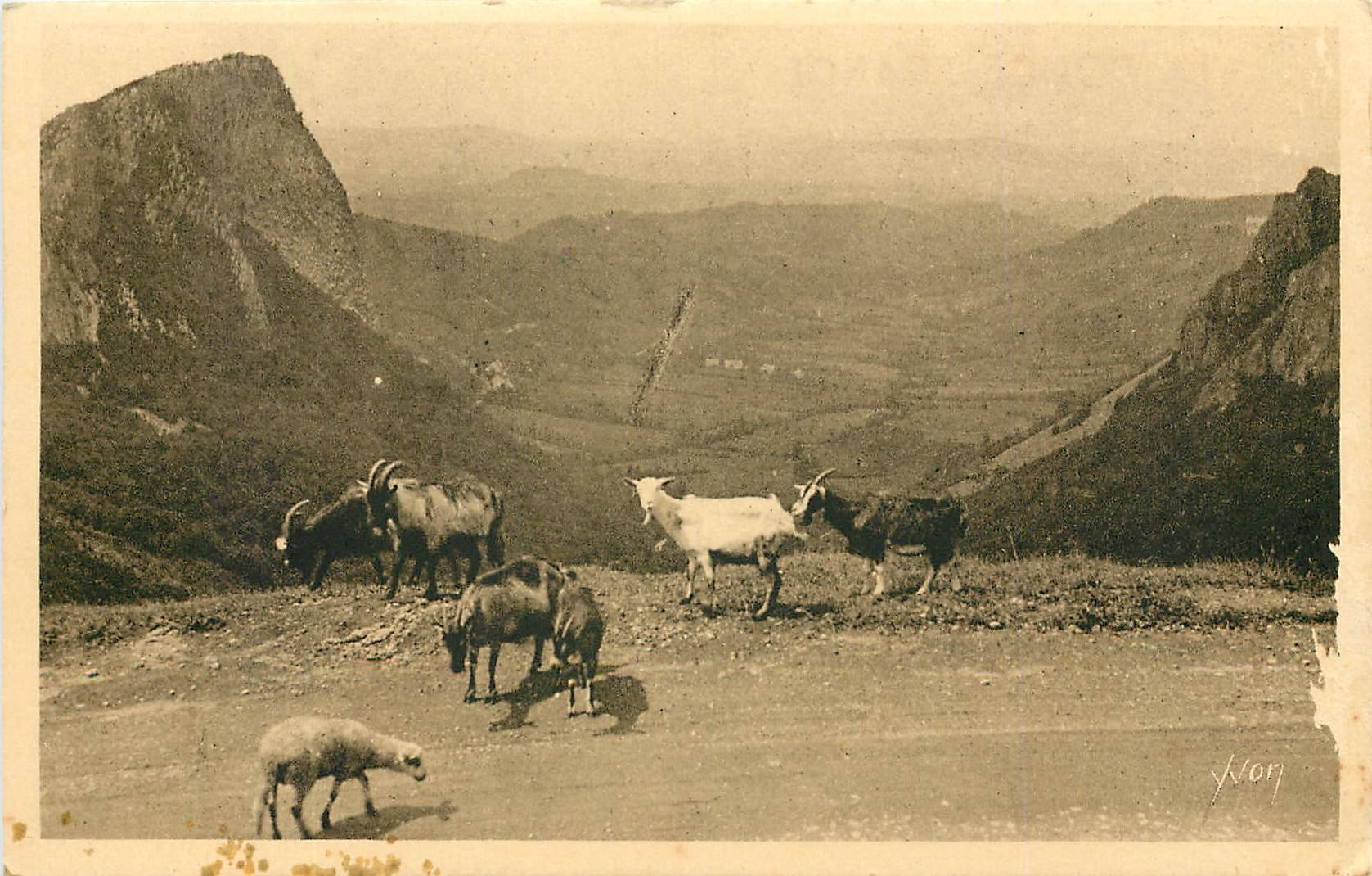CPA La Douce France Auvergne Environs du Mont Dore Puy de Dome Vallee de la Sioule et les roches San